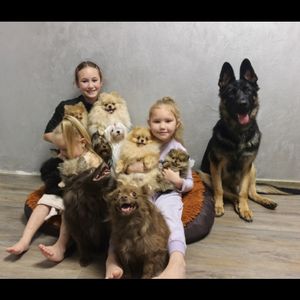 Анастасия Блинова заводчик собак