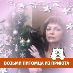 Evelina
