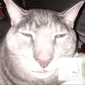 SA__AVII