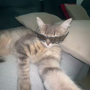 loki