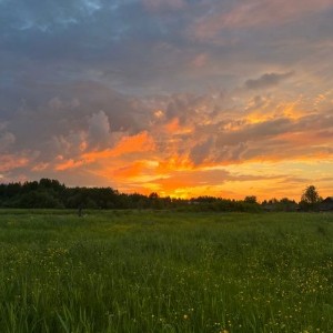 Амина