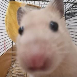 _6789_ainny_6789