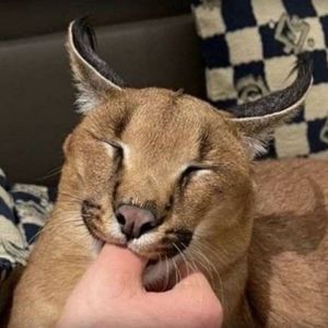 Виталий