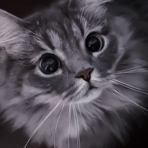 Looky_177333941225862