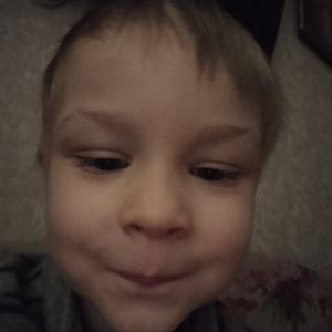 котик Барсик и я