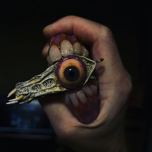 sanigy custom