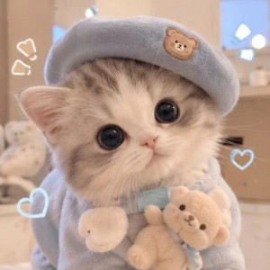 Дашуля