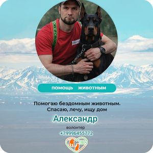 Александр Борщев