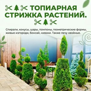 Юлия Демченко