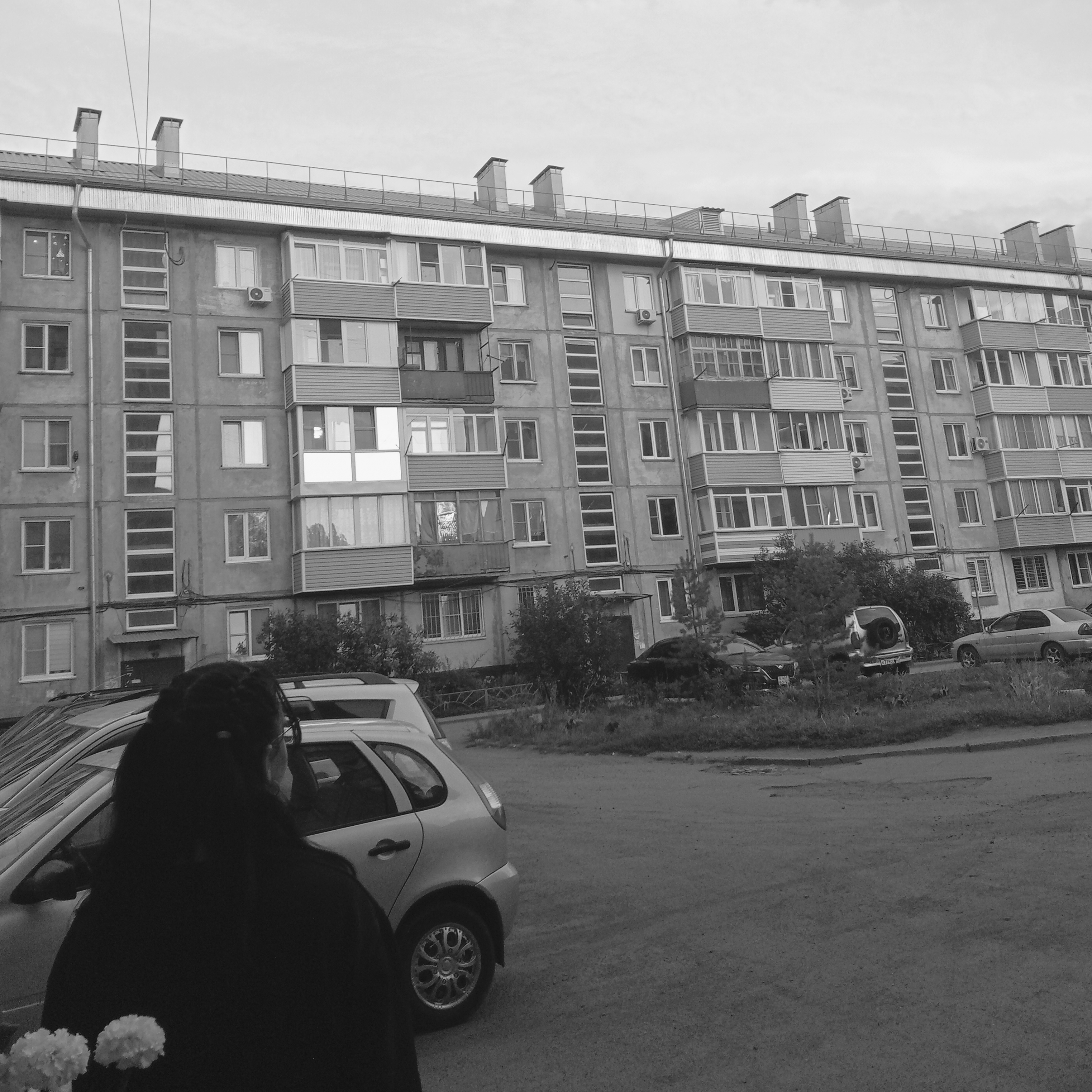 Диана Литовченко