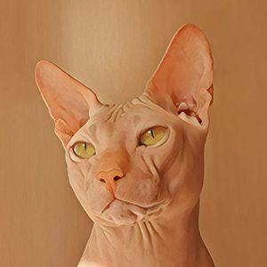 MarcelandKo