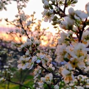 Взаимно лайки подписка комменты