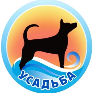 s_sobakoy_na_more
