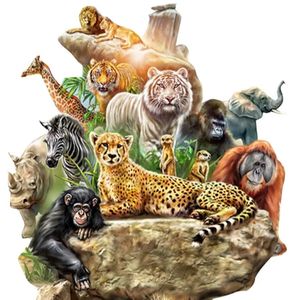 Animals_Fact