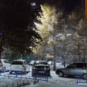 кишер татарский