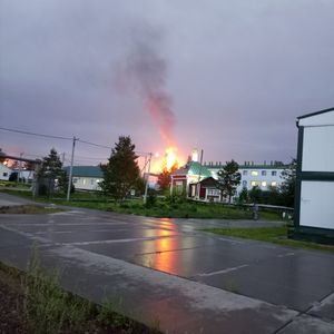 Полярный Панда