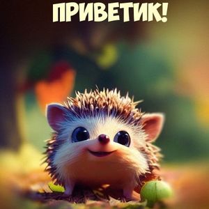 lmapa фриволите