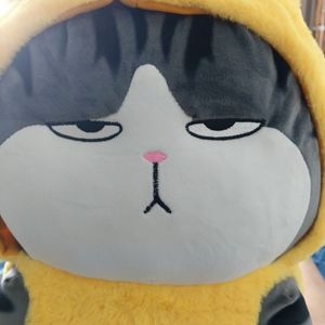 Siolro