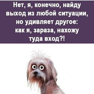 Looky_174905412313216