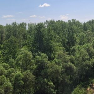 yrqww