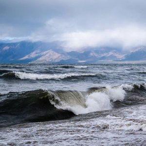 Life BAIKAL