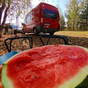 Vanlife shulz