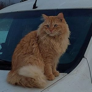 Анастасия