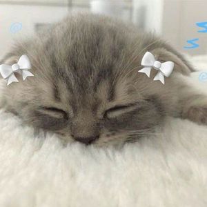 Looky_1721126783468