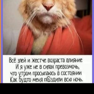 ФЁДОР