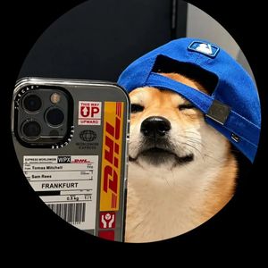 Vvppanda