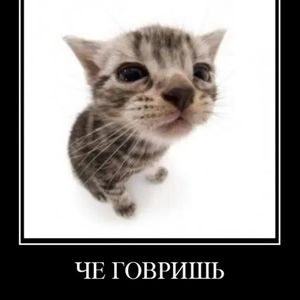 Сашик