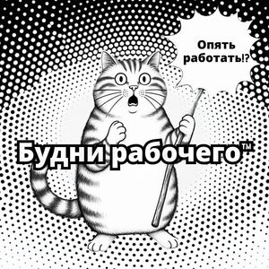 Looky_178656268855917