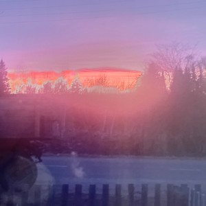 Соня софарова