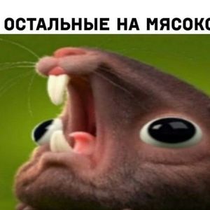IKEVEIIIHNK