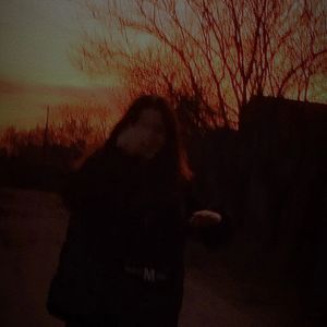 Ночной Снегопад