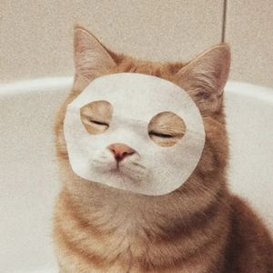 Кравченко Юлия