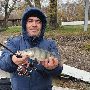Роман