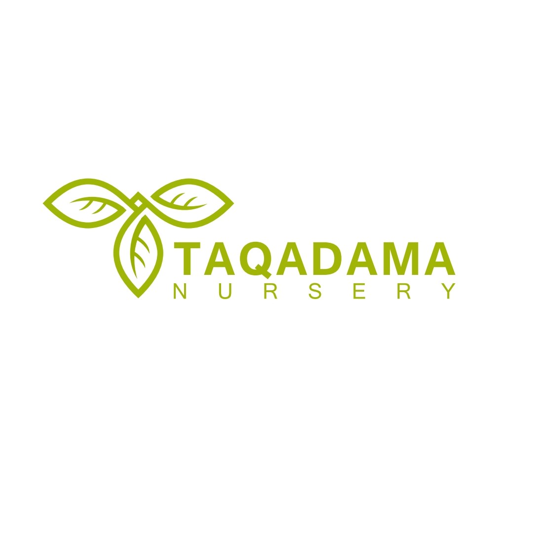 Taqadamanursery