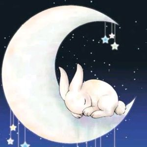 Moonbunny