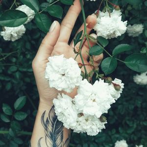 Tasha_Savagar