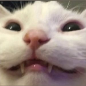 Looky_1718981066985