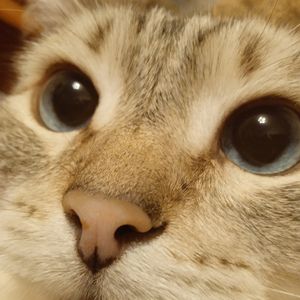 Looky_1706457116070