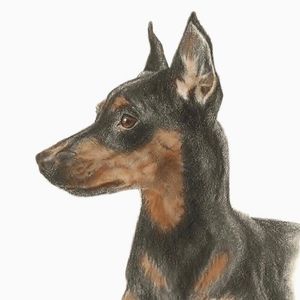 Porshik