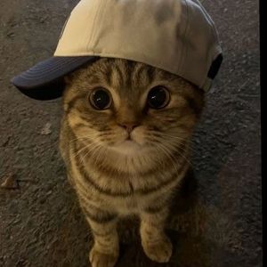 Нео