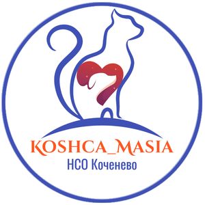 Масяня и компания