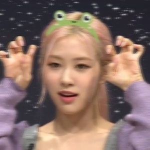 K-pop fan