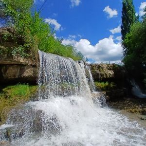 Жанна Болдырева