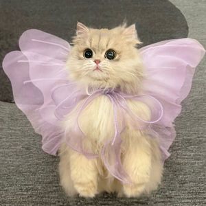 Looky_178190164898657