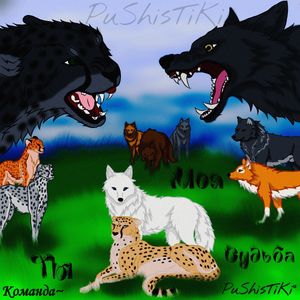 KomandaPuShisTiKi