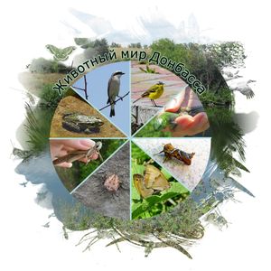 Животный мир Донецкого края